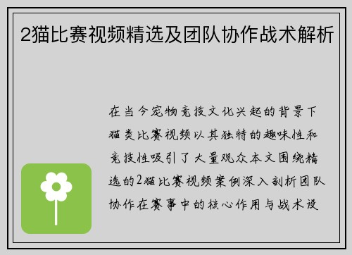 2猫比赛视频精选及团队协作战术解析