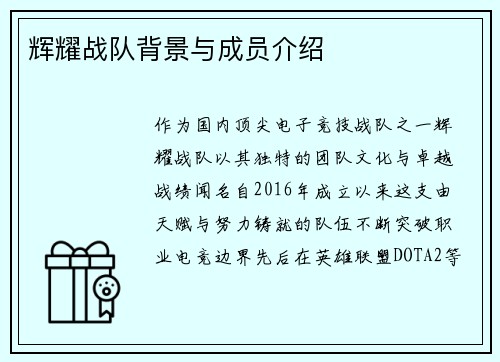 辉耀战队背景与成员介绍